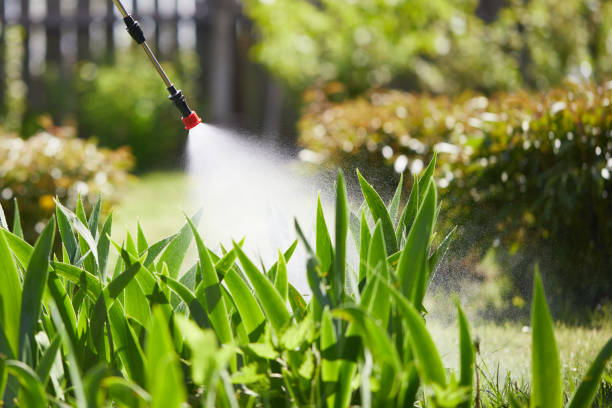 24/7 Emergency Wasp Removal experts in Staples, MN